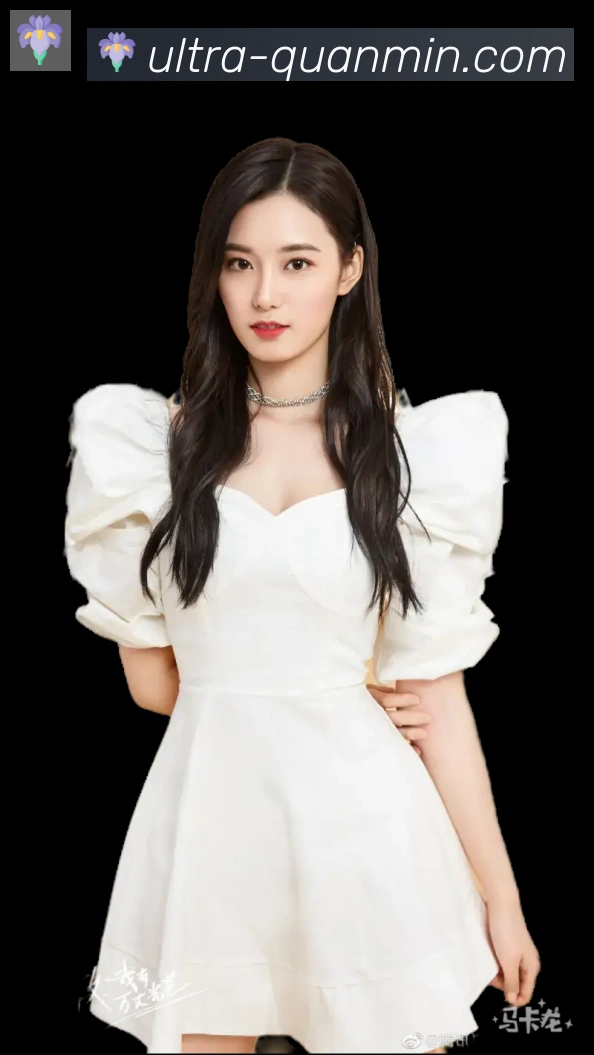 奖项证书